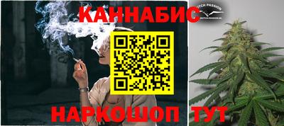 гашик Тара