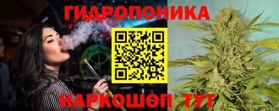 гашик Тара
