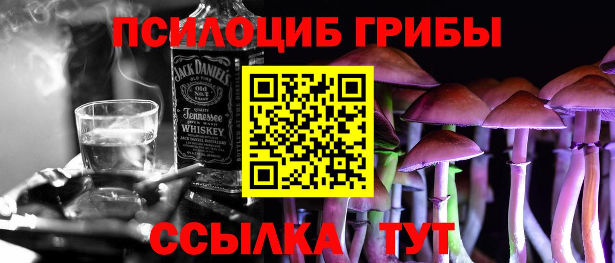 Галлюциногенные грибы Psilocybine cubensis  Галлюциногенные грибы прущие грибы  Нарткала  Вход с VPN 